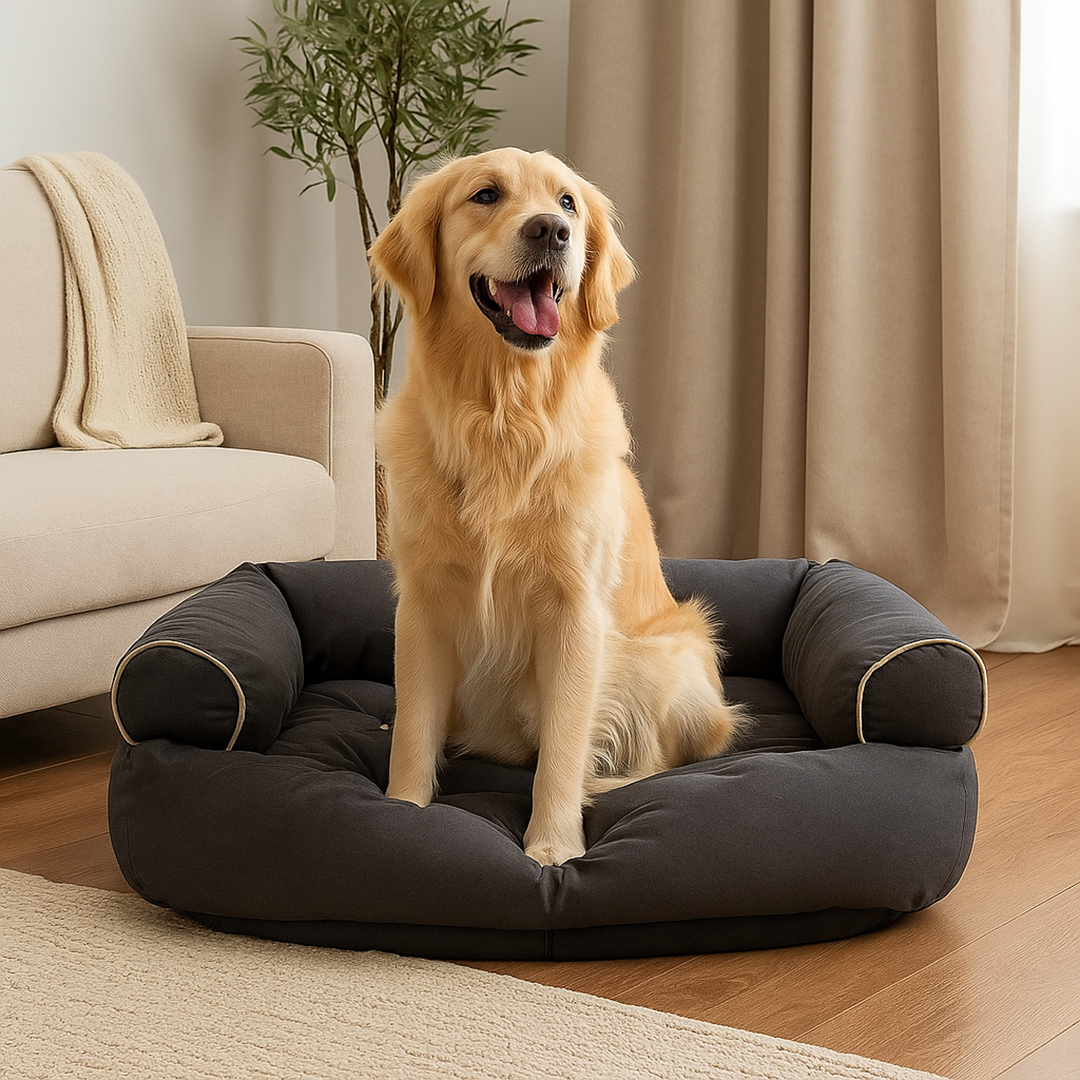 Kanapa dla psa z wyjmowanym pokrowcem i wypełnieniem – Materiał tekstylny – Antypoślizgowy spód