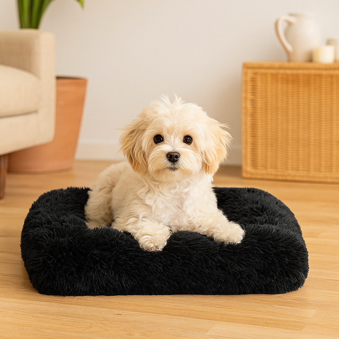 Legowisko Chmurowe dla Psa – Posłanie z Zdejmowanym Pokrowcem – Antypoślizgowy Spód