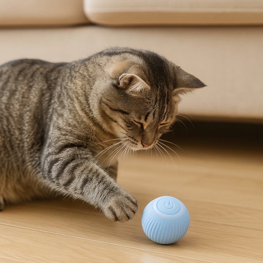 Legowisko dla kota 2-w-1 w kształcie donuta z daszkiem – Materiał tekstylny – Zdejmowany pokrowiec – Antypoślizgowy spód