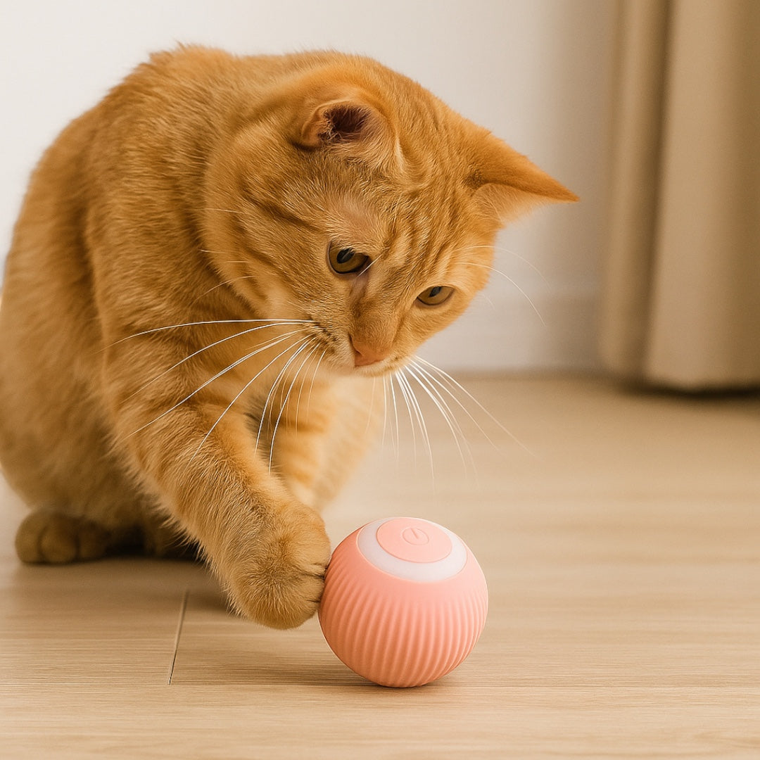 Legowisko dla kota 2-w-1 w kształcie donuta z daszkiem – Materiał tekstylny – Zdejmowany pokrowiec – Antypoślizgowy spód