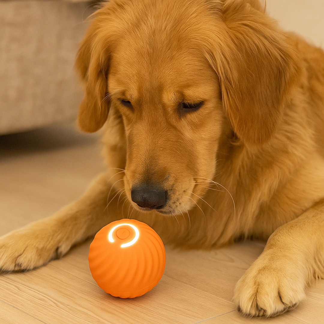 Automatyczna tocząca się zabawka dla psa – Zasilanie na baterie – Do zabawy w domu