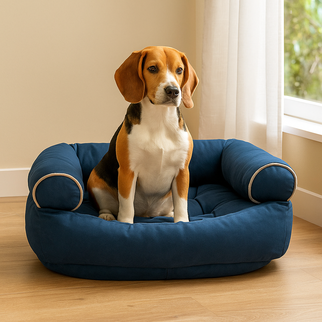 Kanapa dla psa 2-w-1 z wyjmowaną poduszką – Antypoślizgowy spód – Pokrowiec do prania